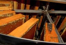 Μειωμένη η παραγωγή μελιού μέχρι στιγμής