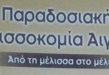 Το άγνωστο παρελθόν της Μελισσοκομίας του Αιγαίου