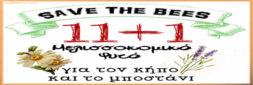 melissokomika-fita-kipo