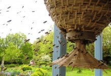 Η Εναλλακτική Κυψέλη 'Sunhive' (Βίντεο)