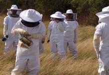 Ένα σχολείο για υποψήφιους μελισσοκόμους