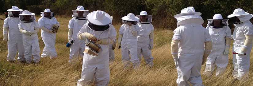 sxoleio-melissokomias