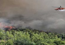 Μαίνεται για τρίτη ημέρα η φωτιά στη β. Εύβοια, πυρκαγιά και στην Κόνιτσα