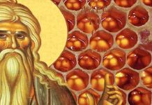 Άγιος Φιλάρετος ο Ελεήμων – O προστάτης της μελισσοκομίας