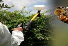 Νέα στοιχεία για τις απειλές από τα νεονικοτινοειδή στην γονιμότητα της βασίλισσας