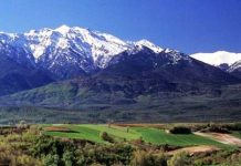 Μεγάλη έρευνα για την αντιβακτηριακή δράση μελιών απο τον Όλυμπο