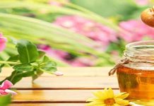 Θεραπευτικές Συνταγές με Μέλι