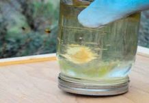 Τροφοδότηση για διέγερση