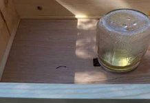 Τροφοδότηση με σιρόπι