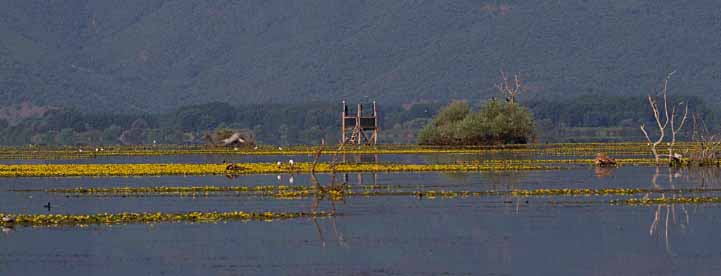 xlorida-limnis-kerkinis