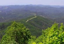 Εθνικό Πάρκο Δάσους Δαδιάς – Λευκίμης – Σουφλίου