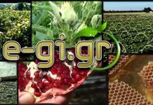 Εύφορη Γή – Εκπομπή: Μελισσοκομία