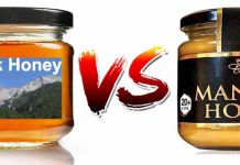 Το μέλι Ολύμπου συναγωνίζεται το πανάκριβο μέλι Manuka