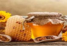 2η Γιορτή Μελιού στην Κομοτηνή