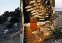 Η μελισσοκομία στη Νάξο