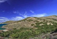 Βλάστηση και Βιότοποι στη Σύρο