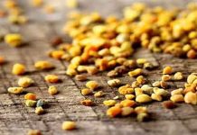 Τροφοδότηση με γύρη