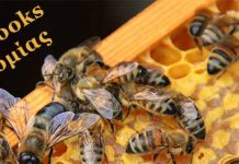 Δωρεάν Βιβλία Μελισσοκομίας για Όλους !