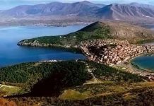 Η χλωρίδα της λίμνης Καστοριάς – Ορεστιάδα