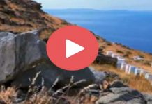 Μελισσοκομία στις Κυκλάδες (Ντοκιμαντέρ)