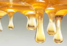 Πέντε λόγοι που ξεχωρίζουν το ελληνικό μέλι