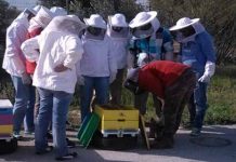 Ολοκληρωμένο Πρόγραμμα Εκπαίδευσης στην Μελισσοκομία (Κόρινθος)