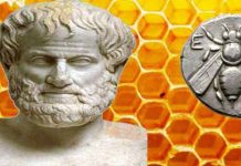 Το μέλι και οι άγνωστες ιδιότητές του στην Αρχαία Ελλάδα