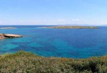 Η Μελισσοκομική Χλωρίδα του Πόρτο Ράφτη (Μαρκόπουλο Μεσογαίας)