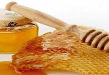 1,2 εκατομμύρια ευρώ για τους Μελισσοκομικούς Συνεταιρισμούς του Αιγαίου