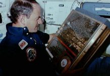 Όταν η NASA έστειλε μέλισσες στο διάστημα ..