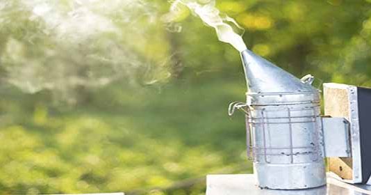 Συμβουλές προς νέους μελισσοκόμους