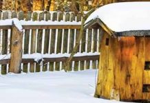 Η διάπαυση των εντόμων