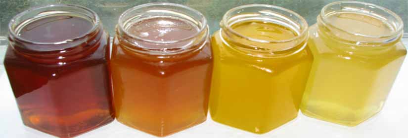 elliniko-meli-flavonoeidi