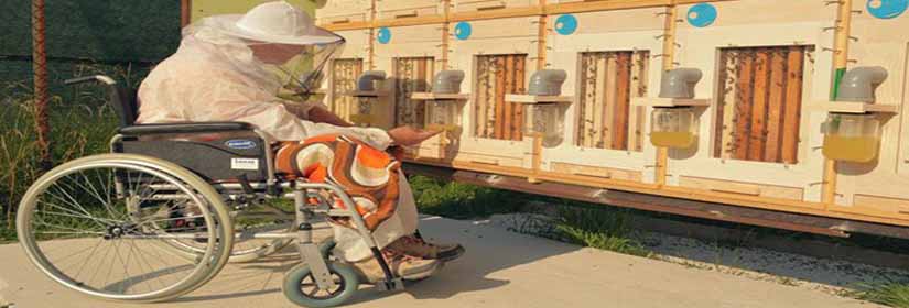 apiform-melissokomia-gia-olous