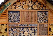 Ένα ξενοδοχείο για μοναχικές αγριομέλισσες