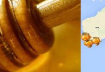 Η μελισσοκομία στην Αυστραλία: Αποτελέσματα έρευνας για τα έτη 2014-2015