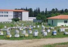 Πρόγραμμα εκπαίδευσης μελισσοκόμων 2017 απο το Εργαστήριο Μελισσοκομίας Α.Π.Θ.