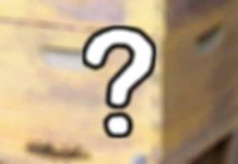 Τι έκρυβαν οι κυψέλες;