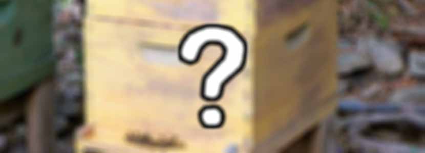 ekrivan-stis-kipseles