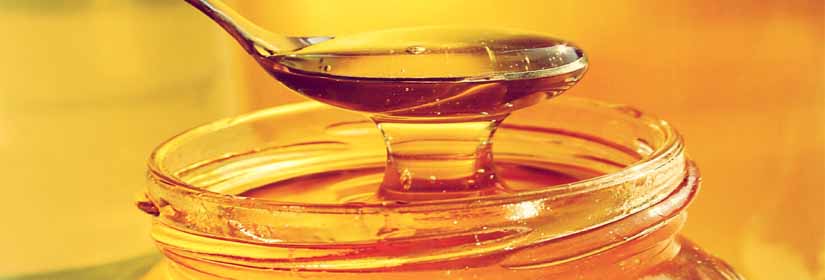 kritiko-meli-xenodoxeia