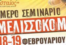 Εκπαιδευτικο Σεμιναριο Μελισσοκομιας στα Ιωάννινα