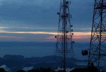 Επιπτώσεις των κεραιών κινητής τηλεφωνίας στην αφθονία εντόμων επικονιαστών