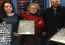 Η Μελισσοθήκη Αιγαίου