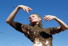 Χορεύει με χιλιάδες μέλισσες στο σώμα της (Βίντεο)