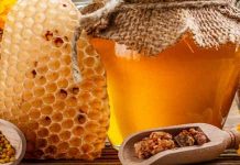 Μέλισσες, τα πιο πολύτιμα πλάσματα του πλανήτη μας