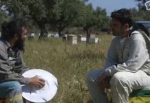 The Real Greek Survivors: Ο Εξαρχειώτης Μελισσοκόμος του Ταΰγετου (Βίντεο)