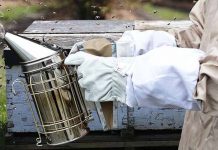 Νομοθεσία για το καπνιστήρι το Καλοκαίρι