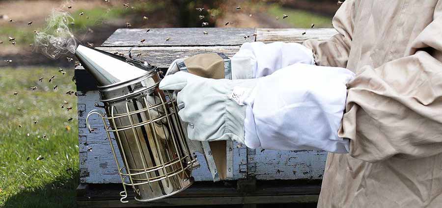 kapnistiri-kalokairi