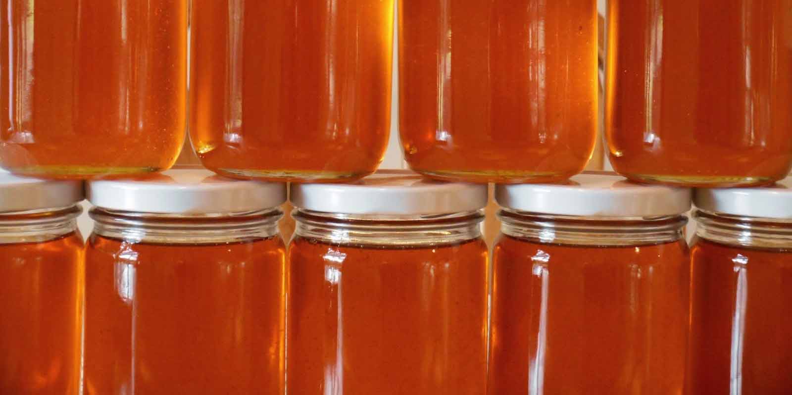 meli-apo-mikrous-paragogous