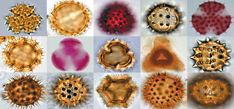 gireologikos-atlas-kipros